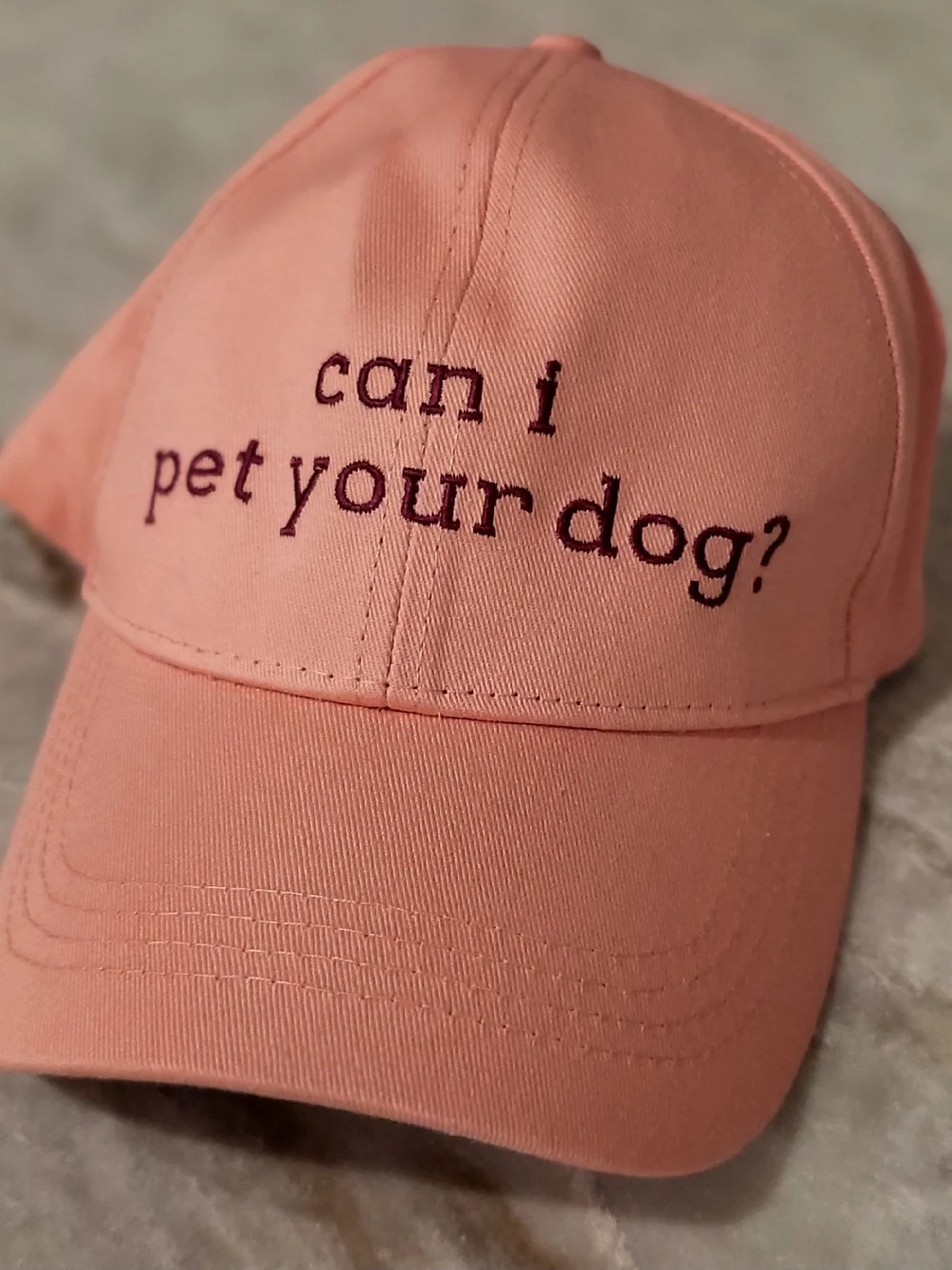 Pink 'Can I Pet Your Dog?' Pet Lover Baseball Cap